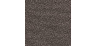 TAUPE - Rocface